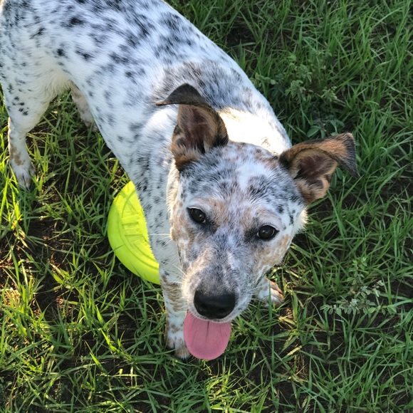 Meet your Posher, Seth - Picture 1 of 1